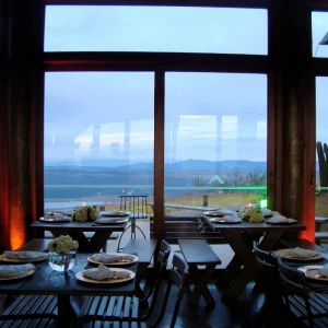 WhatsApp-Image-2024-06-20-at-09.21.14